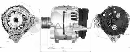 Ashuki PAL17-2003 - Alternator www.autospares.lv