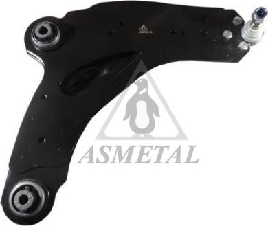 AS Metal 30RN0517 - Track Control Arm www.autospares.lv