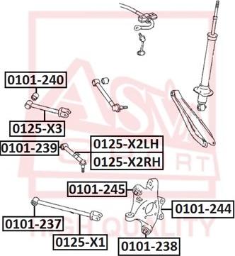 ASVA 0125-X1 - Neatkarīgās balstiekārtas svira, Riteņa piekare www.autospares.lv