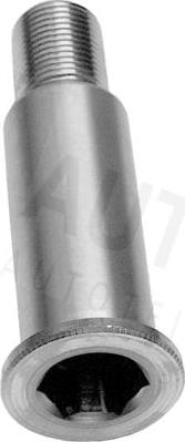 Autex 631665 - Коренная шейка, рычаг натяжного ролика www.autospares.lv