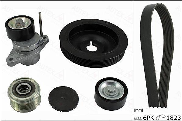 Autex 702873 - Поликлиновый ременный комплект www.autospares.lv