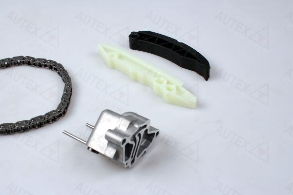 Autex 711195 - Timing Chain Kit www.autospares.lv