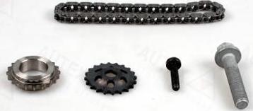 Autex 711381 - Chain Set, oil pump drive www.autospares.lv