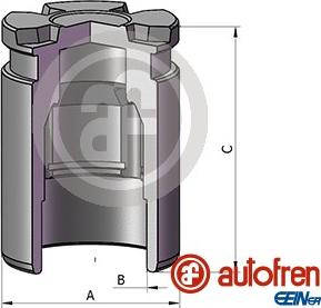 AUTOFREN SEINSA D025698 - Virzulis, Bremžu suports www.autospares.lv