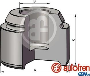 AUTOFREN SEINSA D025569 - Virzulis, Bremžu suports www.autospares.lv