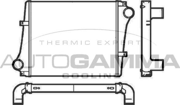 Autogamma 404974 - Starpdzesētājs www.autospares.lv