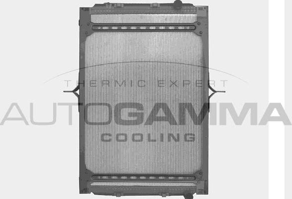 Autogamma 404594 - Radiators, Motora dzesēšanas sistēma www.autospares.lv