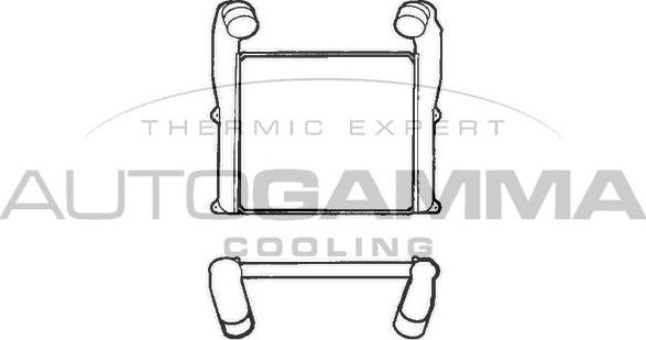 Autogamma 402118 - Starpdzesētājs www.autospares.lv