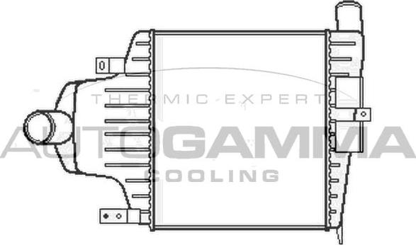 Autogamma 105502 - Starpdzesētājs www.autospares.lv