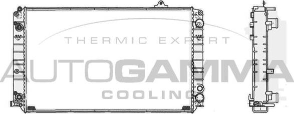 Autogamma 105124 - Radiator, engine cooling www.autospares.lv