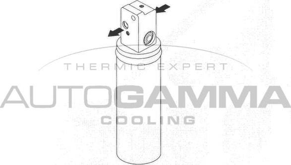 Autogamma 106077 - Sausinātājs, Kondicionieris www.autospares.lv