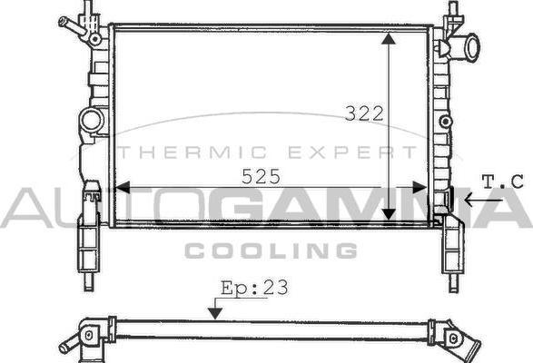 Autogamma 100665 - Radiators, Motora dzesēšanas sistēma www.autospares.lv