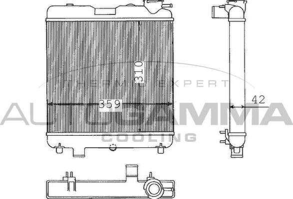 Autogamma 100289 - Radiators, Motora dzesēšanas sistēma www.autospares.lv