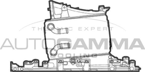 Autogamma 107913 - Starpdzesētājs www.autospares.lv