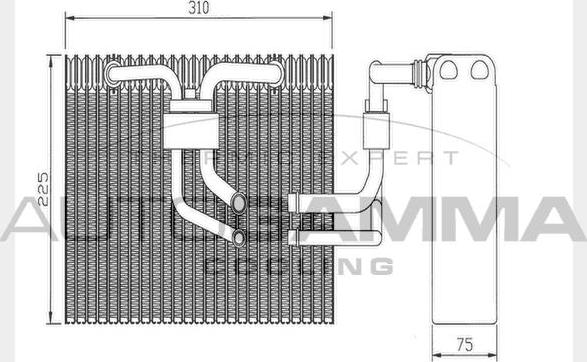 Autogamma 112002 - Iztvaikotājs, Gaisa kondicionēšanas sistēma www.autospares.lv