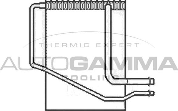 Autogamma 112021 - Iztvaikotājs, Gaisa kondicionēšanas sistēma www.autospares.lv