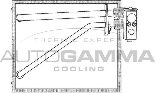 Autogamma 112109 - Iztvaikotājs, Gaisa kondicionēšanas sistēma www.autospares.lv
