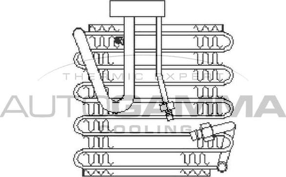 Autogamma 112113 - Iztvaikotājs, Gaisa kondicionēšanas sistēma www.autospares.lv