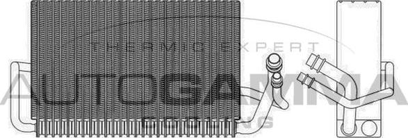 Autogamma 112170 - Iztvaikotājs, Gaisa kondicionēšanas sistēma www.autospares.lv