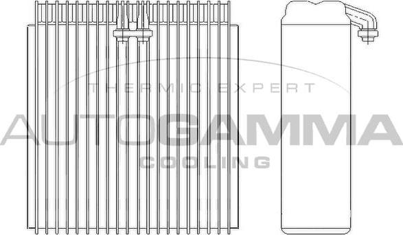 Autogamma 112200 - Iztvaikotājs, Gaisa kondicionēšanas sistēma www.autospares.lv