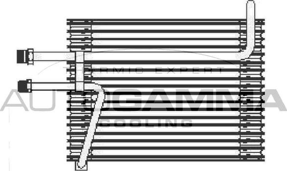 Autogamma 112210 - Iztvaikotājs, Gaisa kondicionēšanas sistēma www.autospares.lv