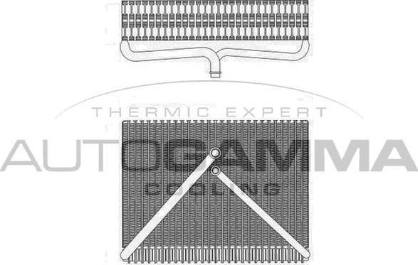 Autogamma 112211 - Iztvaikotājs, Gaisa kondicionēšanas sistēma www.autospares.lv