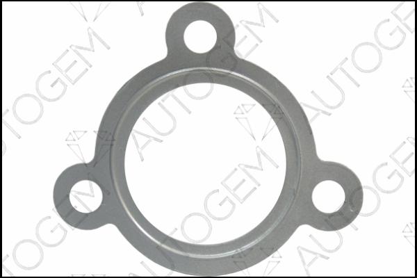 AUTOGEM CEG9520 - Blīve, Izplūdes caurule www.autospares.lv