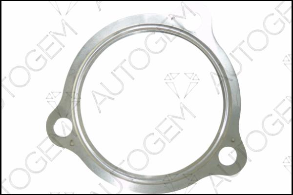 AUTOGEM CEG9521 - Gasket, exhaust pipe www.autospares.lv