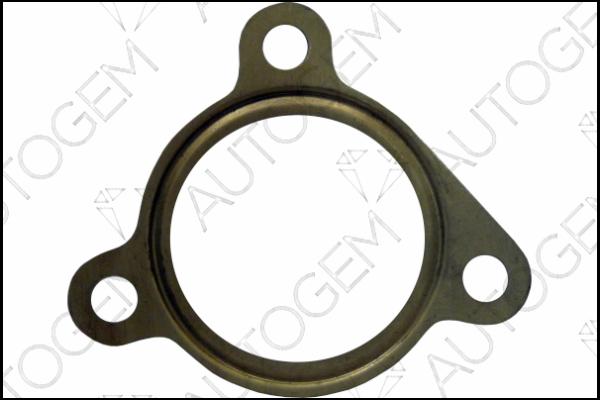 AUTOGEM CEG402 - Blīve, Izplūdes caurule www.autospares.lv