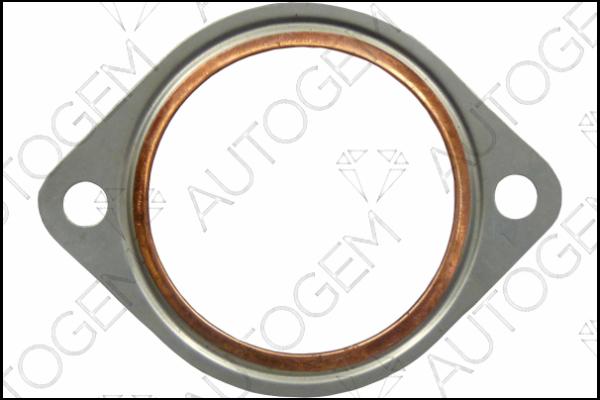 AUTOGEM CEG413 - Blīve, Izplūdes caurule www.autospares.lv