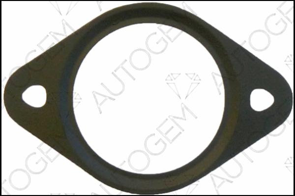 AUTOGEM CEG5431 - Blīve, Kompresors www.autospares.lv