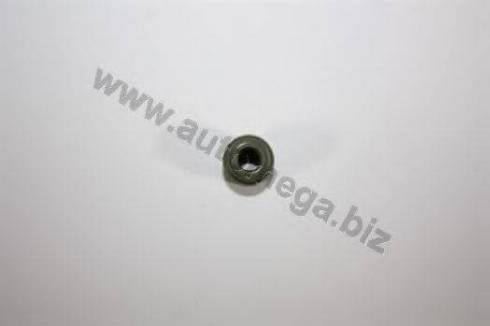 Automega 1006420533 - Blīvgredzens, Vārsta kāts www.autospares.lv