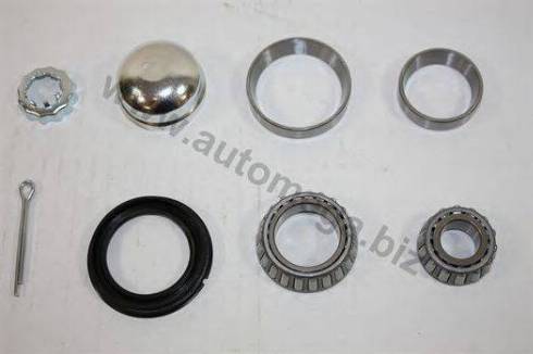 Automega 305980625191 - Wheel hub, bearing Kit www.autospares.lv