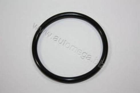 Automega 301210119038B - Прокладка, термостат www.autospares.lv