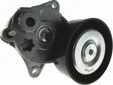 Automega 210155210 - Siksnas spriegotājs, Ķīļsiksna www.autospares.lv