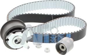 Automotor France PTK8119 - Timing Belt Set www.autospares.lv