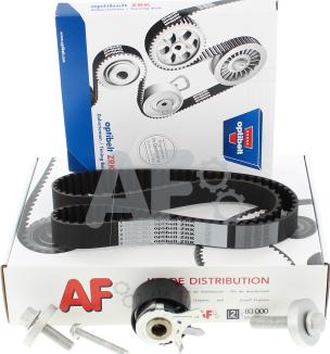 Automotor France PTK7028 - Timing Belt Set www.autospares.lv