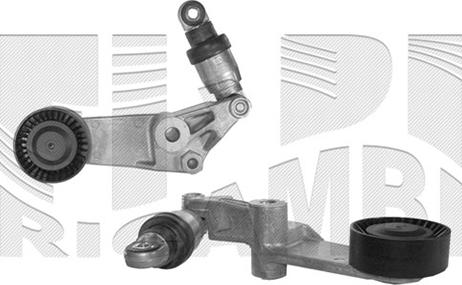 Autoteam A02436 - Натяжитель, поликлиновый ремень www.autospares.lv