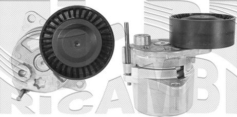 Autoteam A02180 - Натяжитель, поликлиновый ремень www.autospares.lv