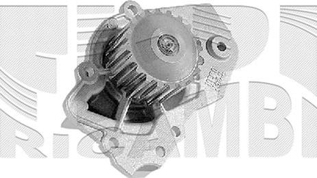 Autoteam WPA489 - Water Pump www.autospares.lv