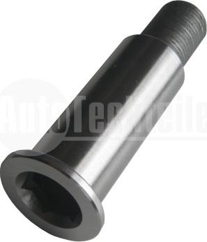 AUTOTECHTEILE 100 2001 - Натяжитель, поликлиновый ремень www.autospares.lv