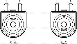 Ava Quality Cooling PE 3285 - Eļļas radiators, Motoreļļa www.autospares.lv