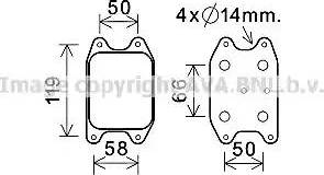 Ava Quality Cooling VW3394 - Eļļas radiators, Motoreļļa www.autospares.lv