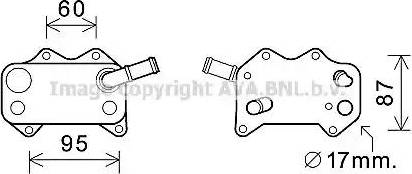 Ava Quality Cooling VW3329 - Eļļas radiators, Motoreļļa www.autospares.lv