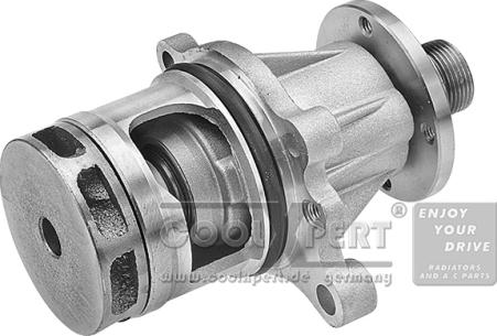 BBR Automotive 001-10-17656 - Water Pump www.autospares.lv