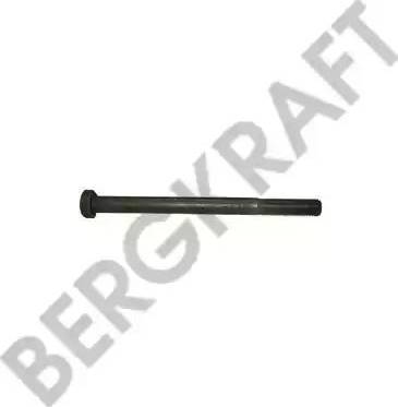 BergKraft BK2961221SP - Lāgu atsperes tapa www.autospares.lv