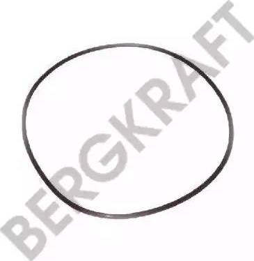 BergKraft BK28311021SP - Seal Ring, oil drain plug www.autospares.lv