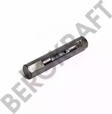 BergKraft BK7409071 - Lāgu atsperes tapa www.autospares.lv