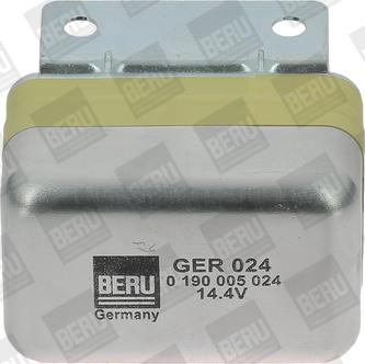 BERU by DRiV GER024 - Ģeneratora sprieguma regulators autospares.lv