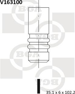 BGA V163100 - Ieplūdes vārsts www.autospares.lv